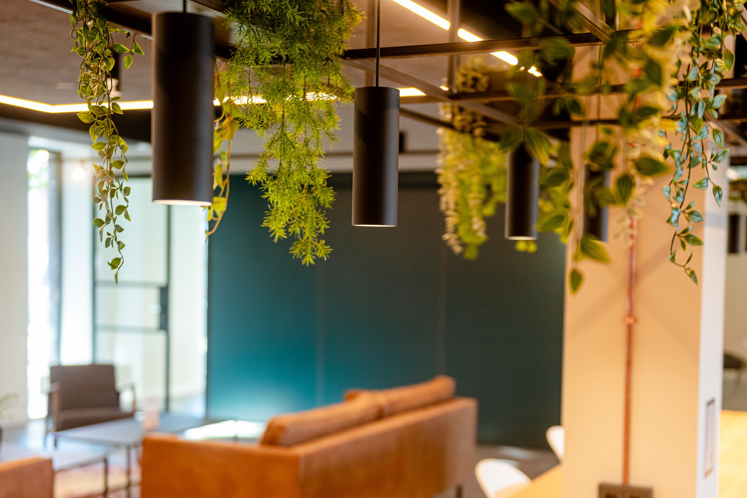 EV5_8214 LIVE and BE 11-2020